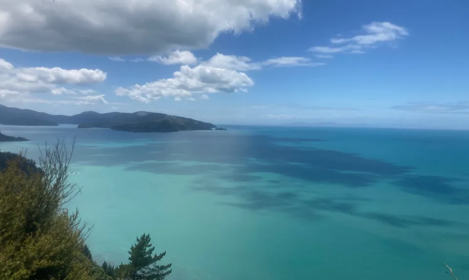 Tokomaru, Mt Robertson Circuit, Marlborough