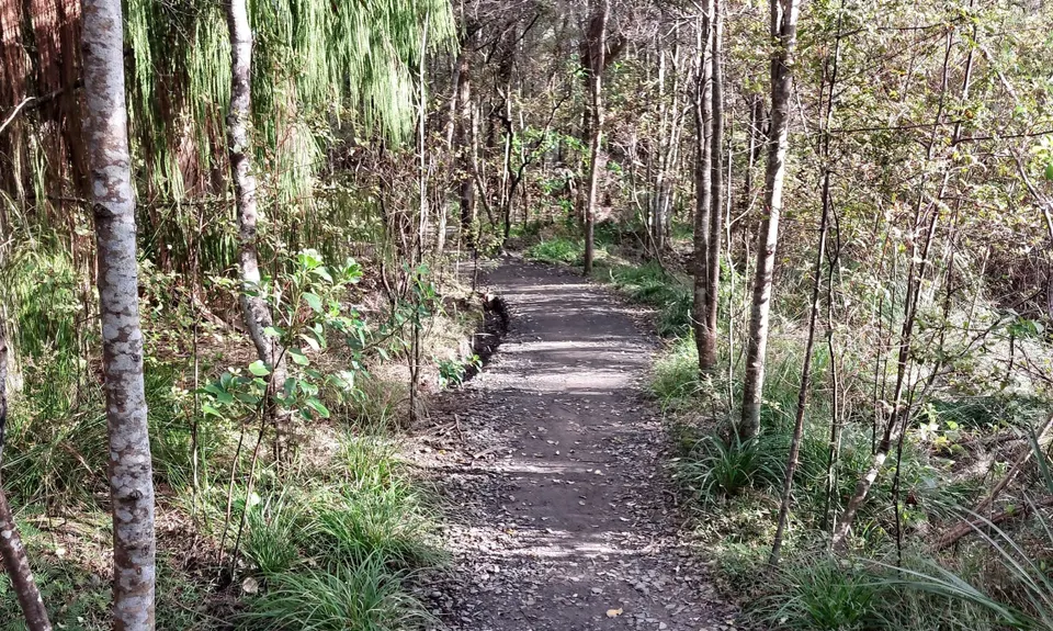 The James Vowles Inspiration Circuit , Auckland