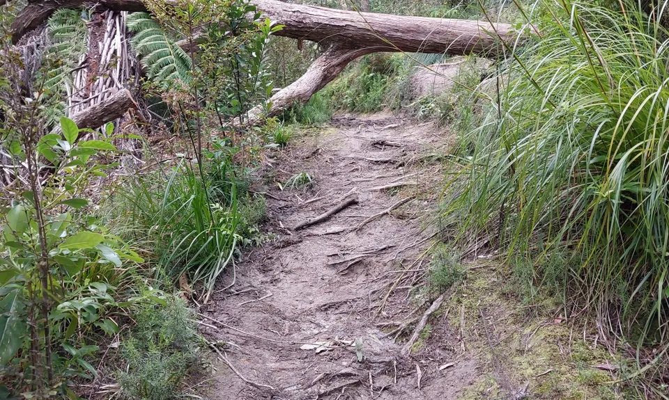 The James Vowles Inspiration Circuit , Auckland