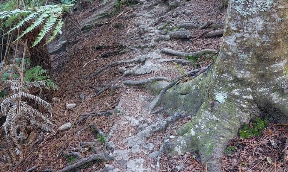 The James Vowles Inspiration Circuit , Auckland