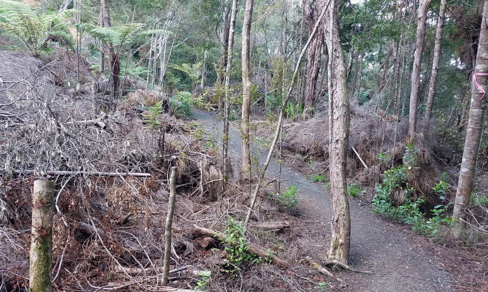 The James Vowles Inspiration Circuit , Auckland