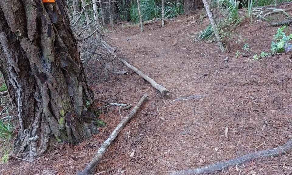 The James Vowles Inspiration Circuit , Auckland