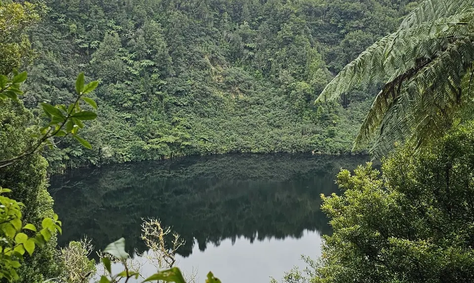 The Other Okataina Trails, Bay of Plenty