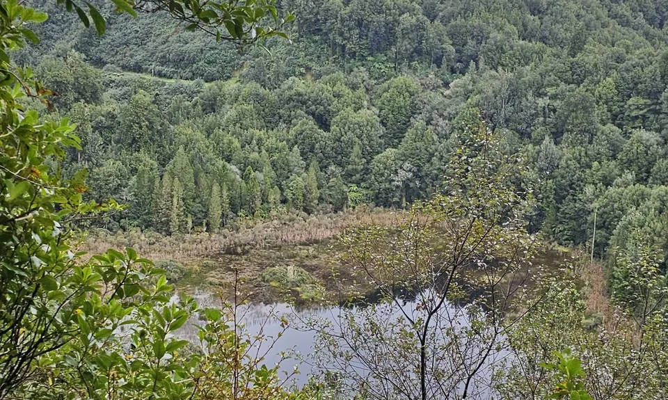 The Other Okataina Trails, Bay of Plenty