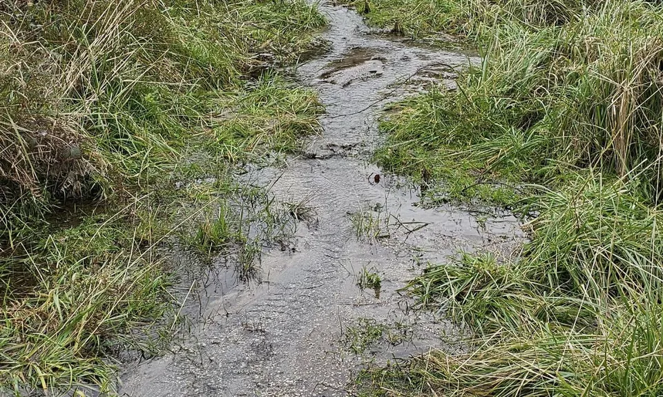 The Other Okataina Trails, Bay of Plenty