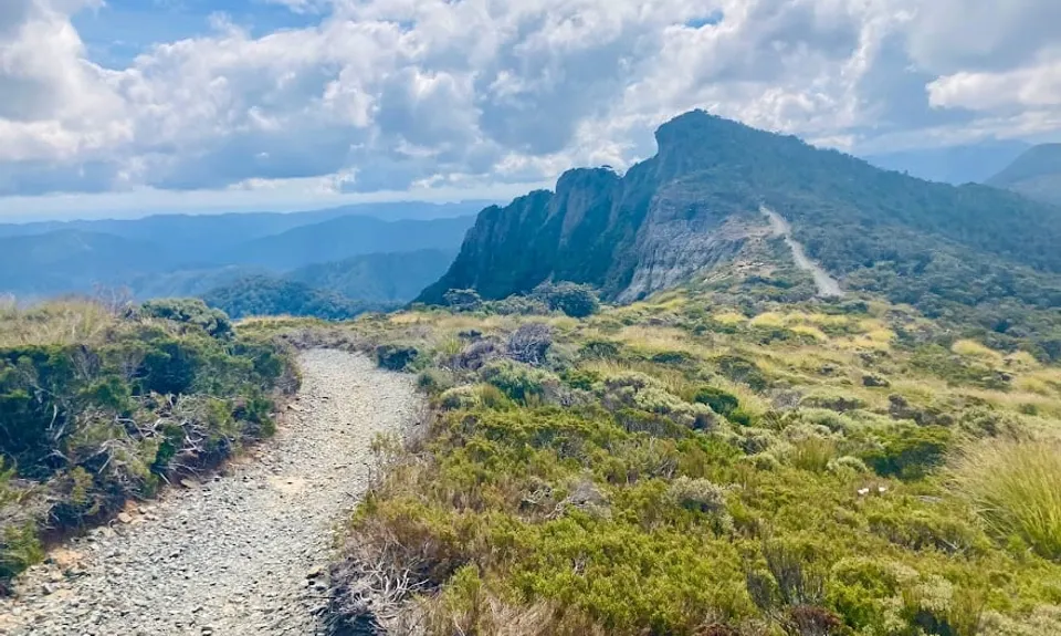 The Paparoa, West Coast