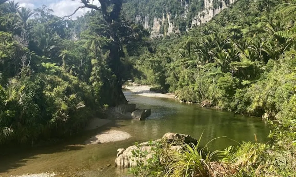 The Paparoa, West Coast
