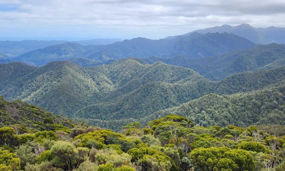 The Paparoa, West Coast