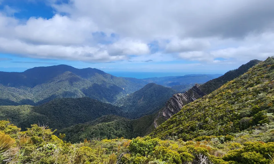 The Paparoa, West Coast