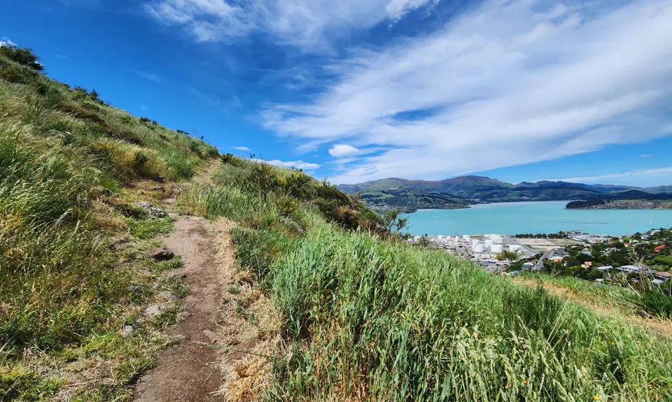 The Pipeline of Pain, Canterbury