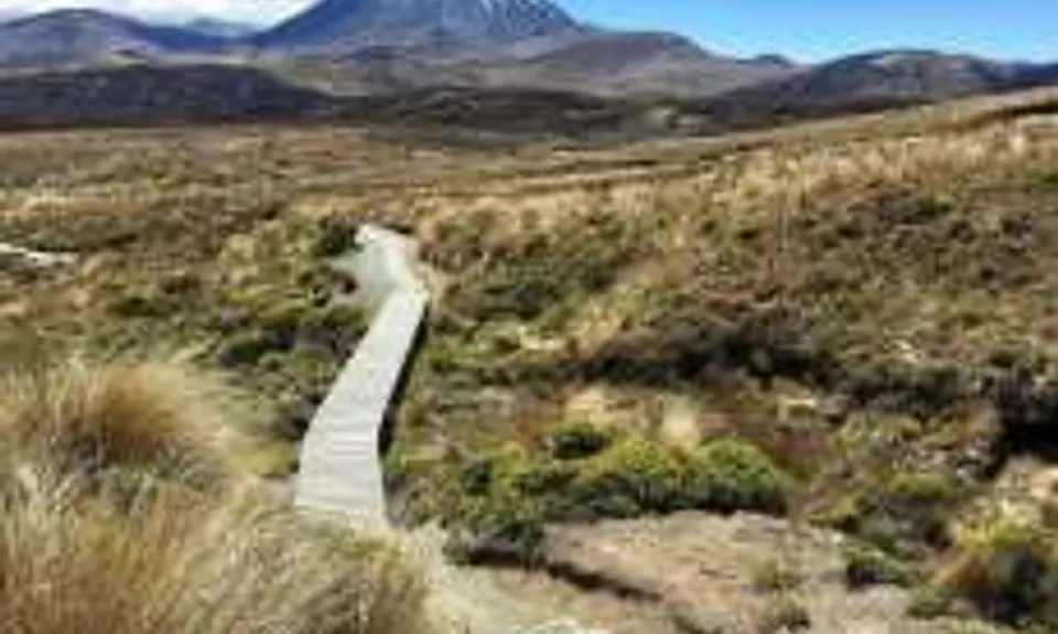 Silica Rapids trail, Manawatu - Wanganui