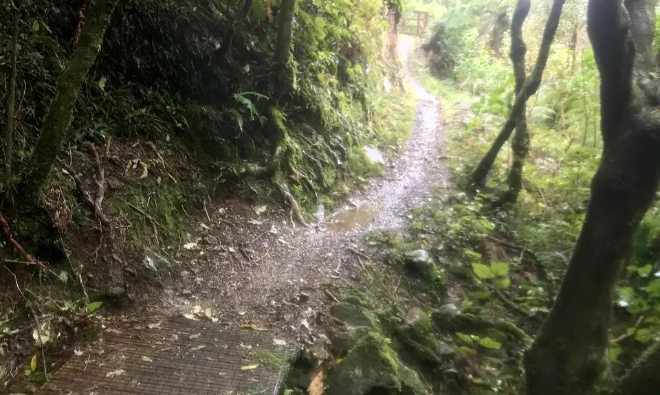 Mid Makara Magic, Wellington