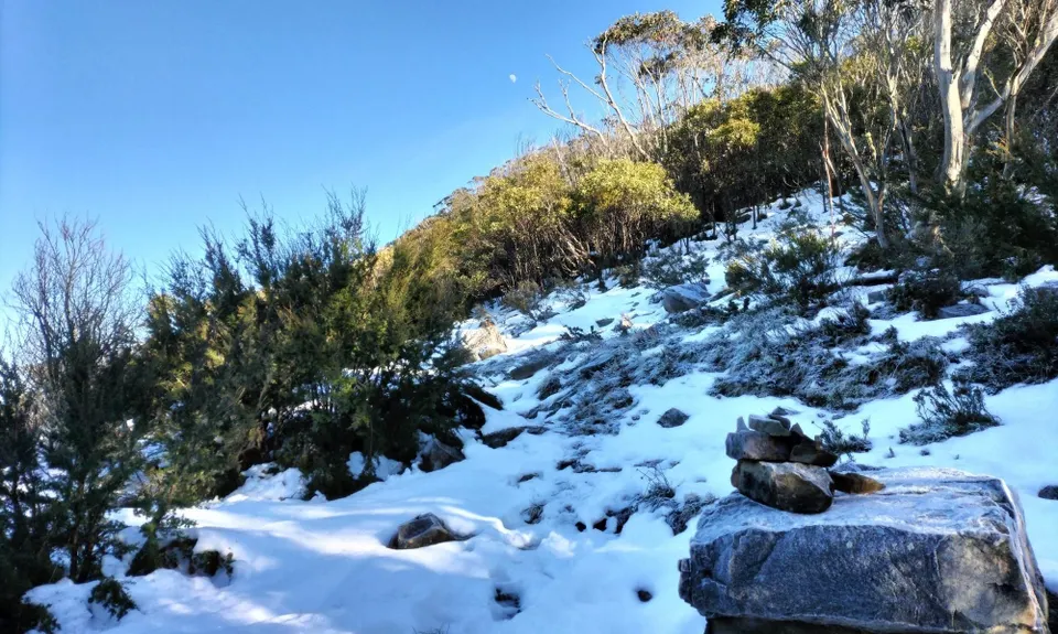 Tidbinbilla Mountain - Camels Hump Loop, Australian Capital Territory