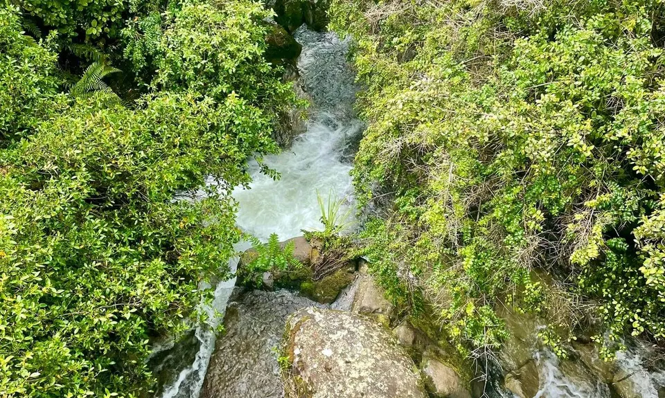 Timber Trail, Waikato