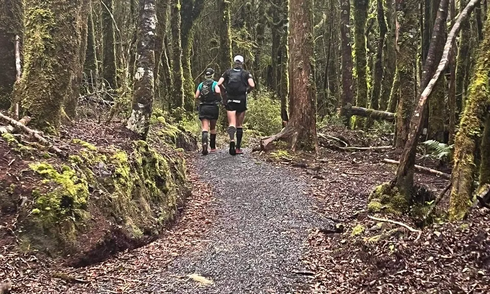 Timber Trail, Waikato