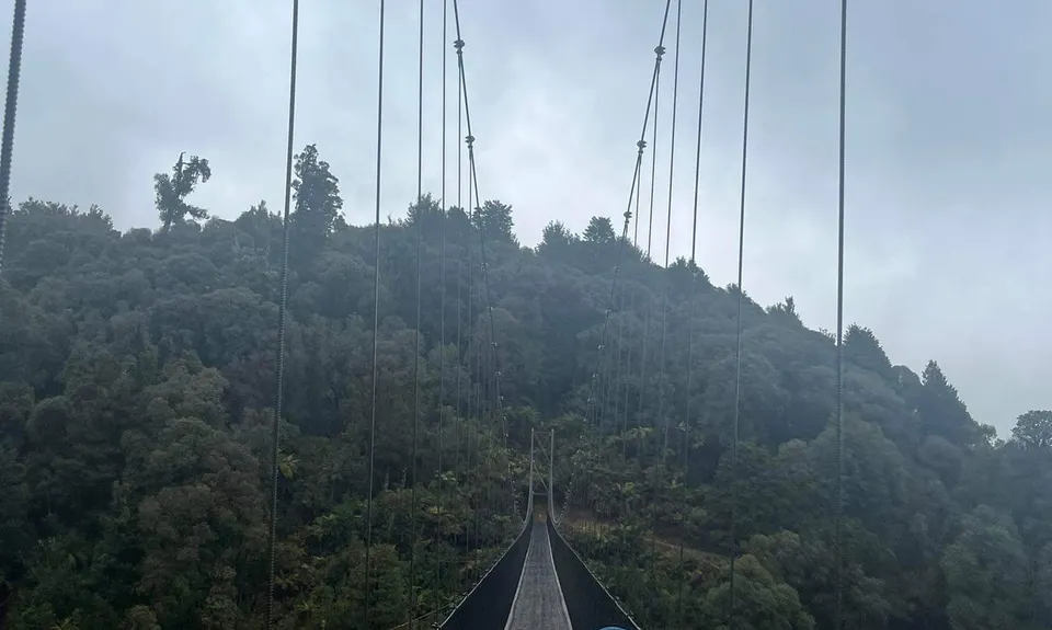 Timber Trail, Waikato