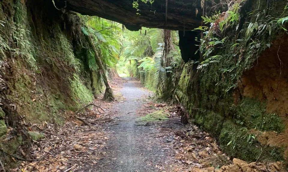 Timber Trail, Waikato