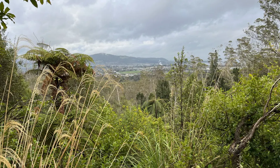 Tokorangi Pa Track, Bay of Plenty