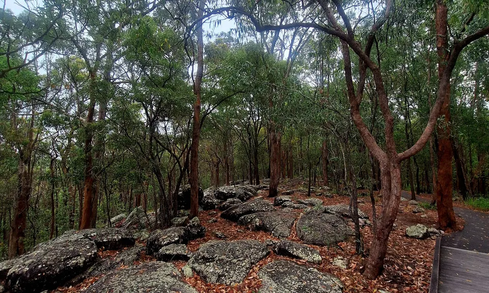 Toohey trot, Queensland