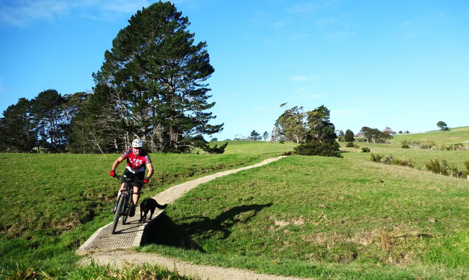 Totara Park Track, Auckland