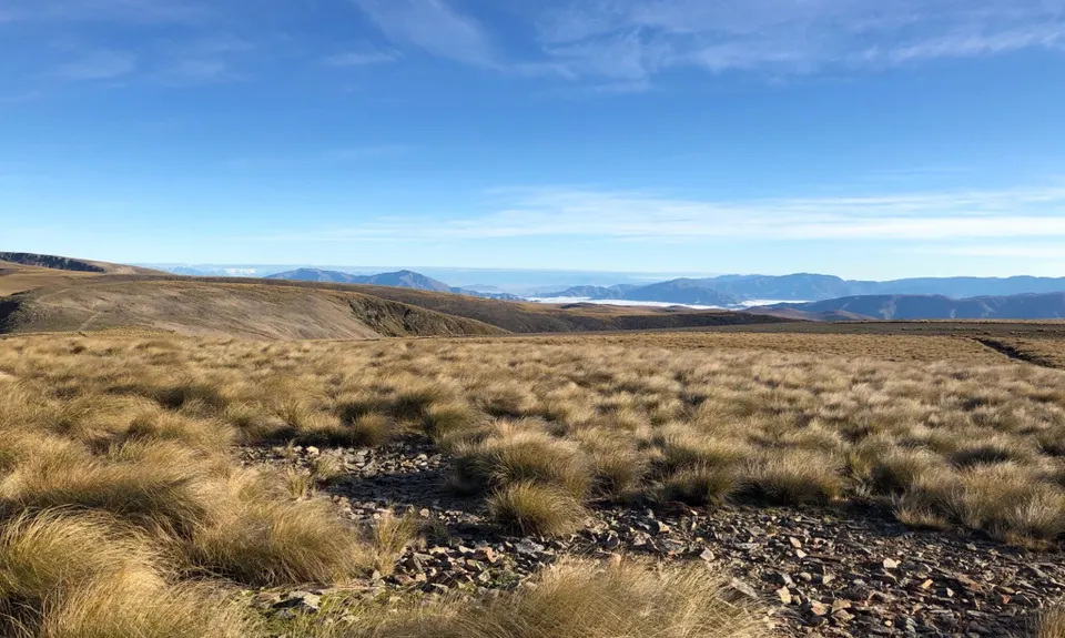 Hawkdun Range Hustle, Otago