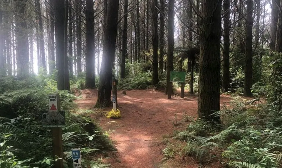 Tokavegas trails, Waikato