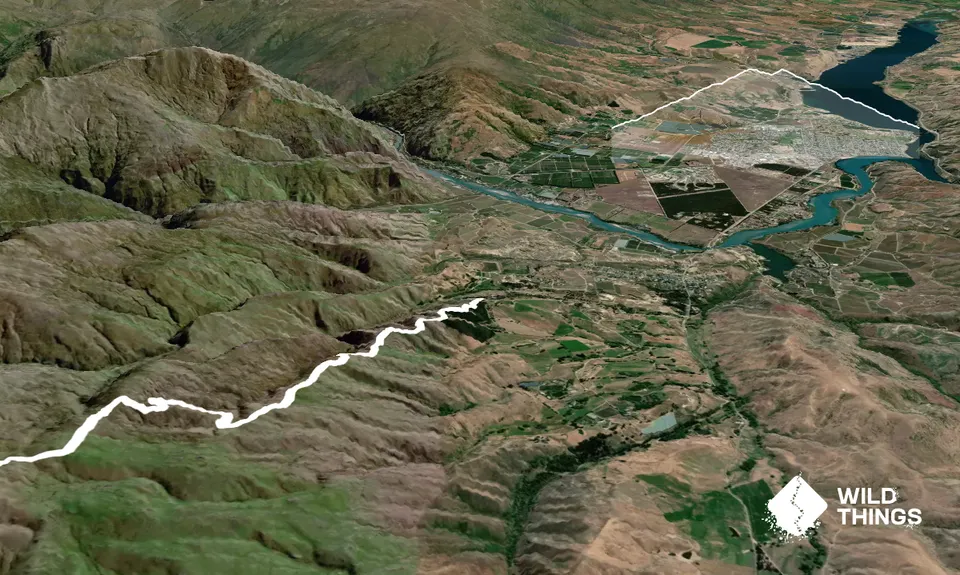 Young Australian, Otago