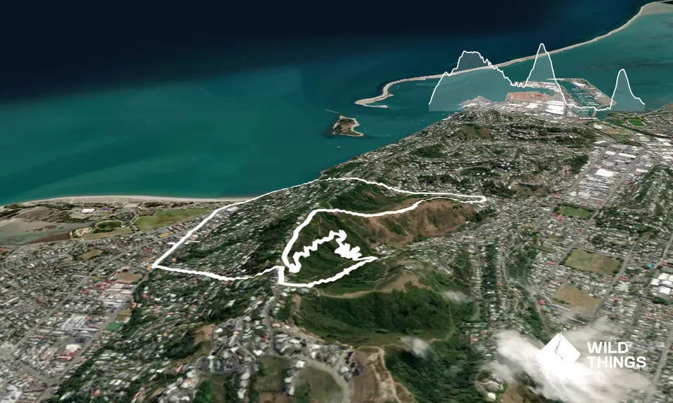 Tahuna Trails, Nelson