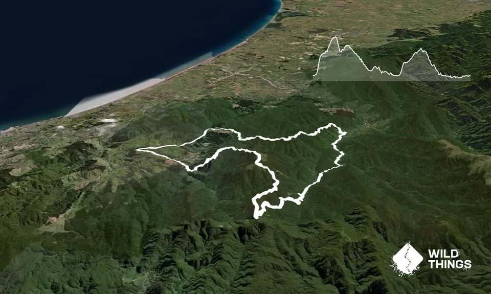 Big Circuit Run, Wellington