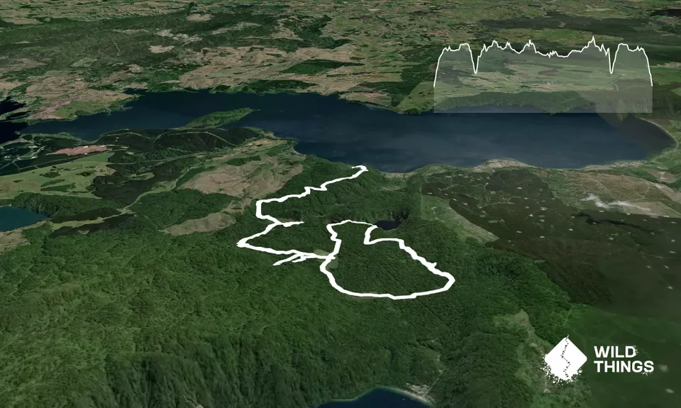 The Other Okataina Trails, Bay of Plenty