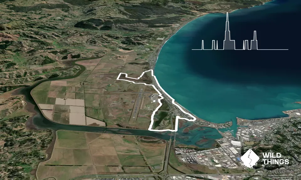 Westshore Flattie, Hawkes Bay