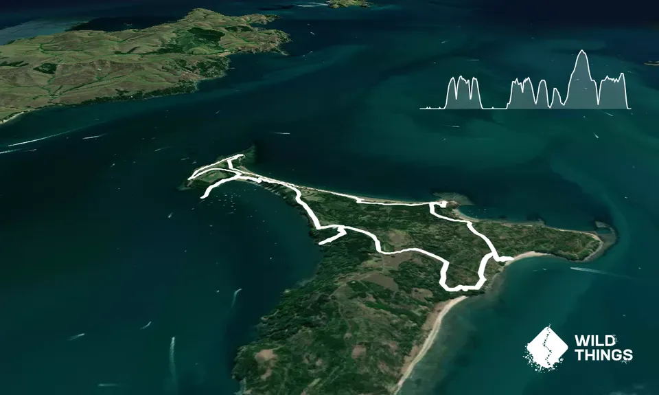 Motuihe Island Loop, Auckland