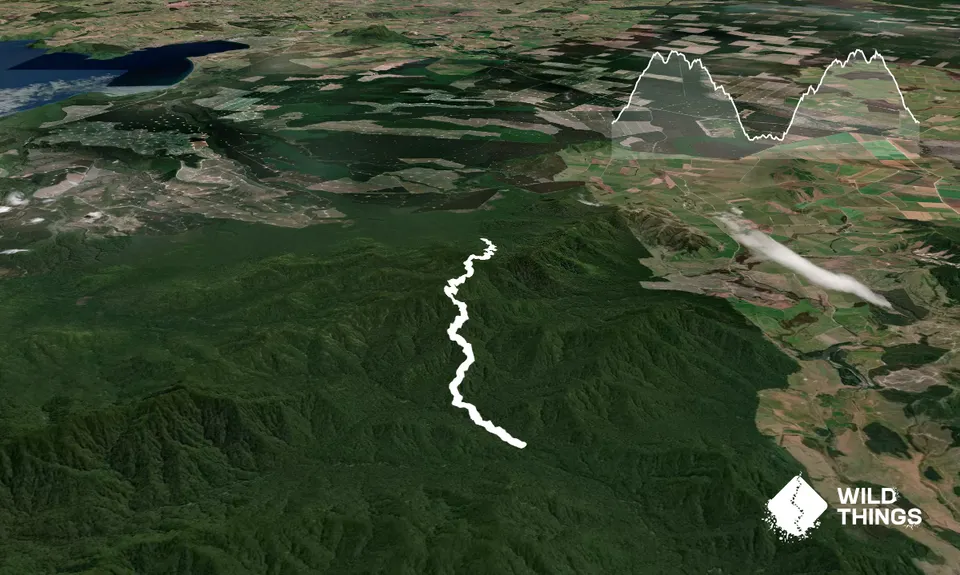 Te Iringa Track , Waikato