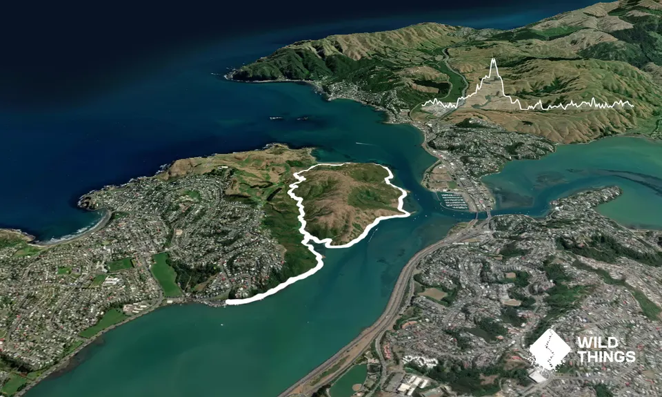 Whitireia Circuit, Wellington