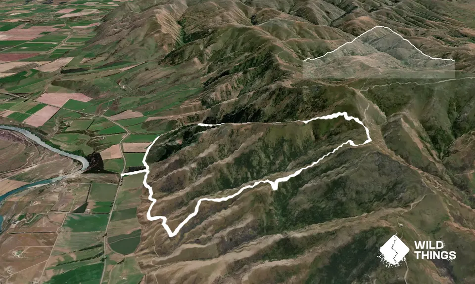 Long Gully Loop, Otago