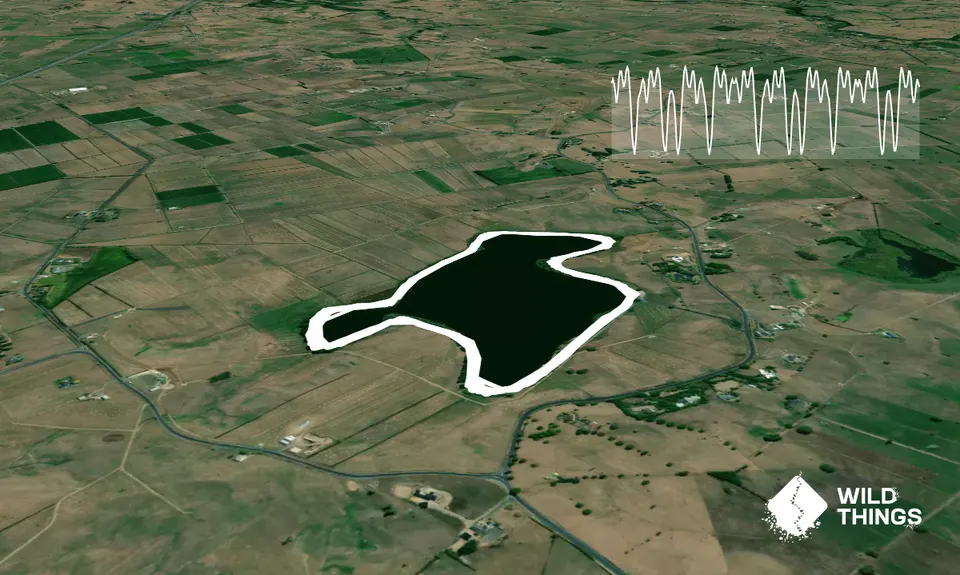 Lake D Dash, Waikato