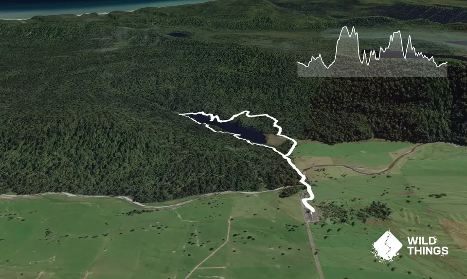 Lake Matheson Meander, West Coast