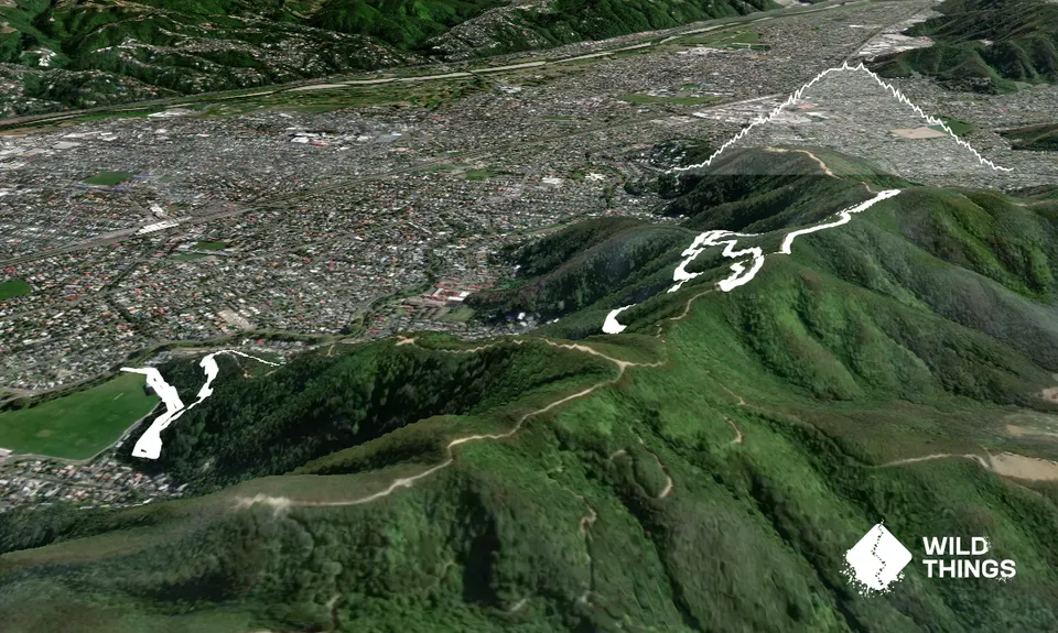 Te Whiti Riser, Wellington
