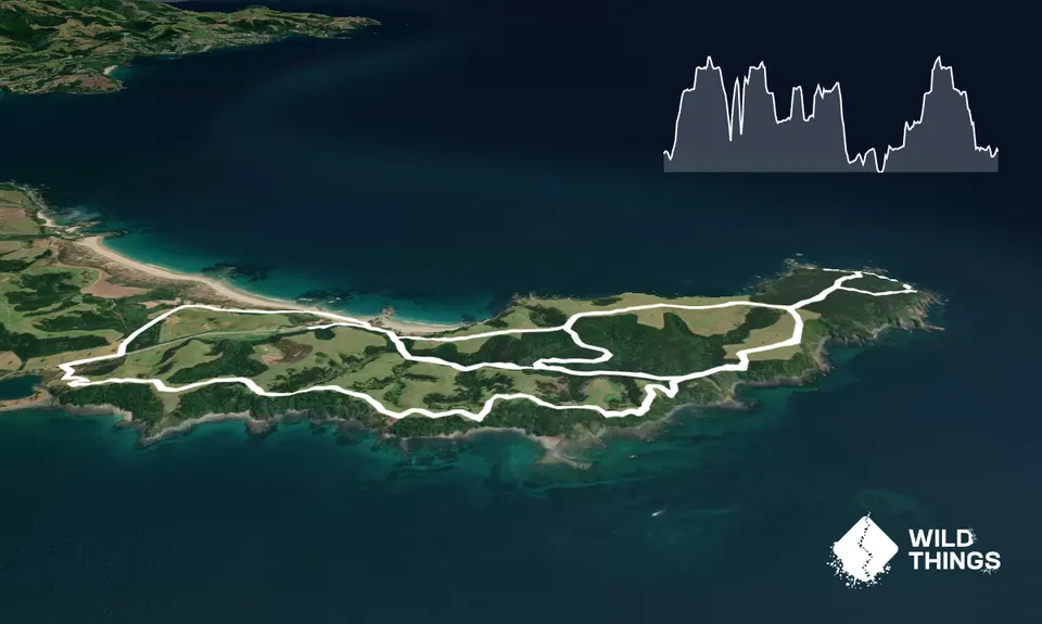 Tawharanui Loops, Auckland