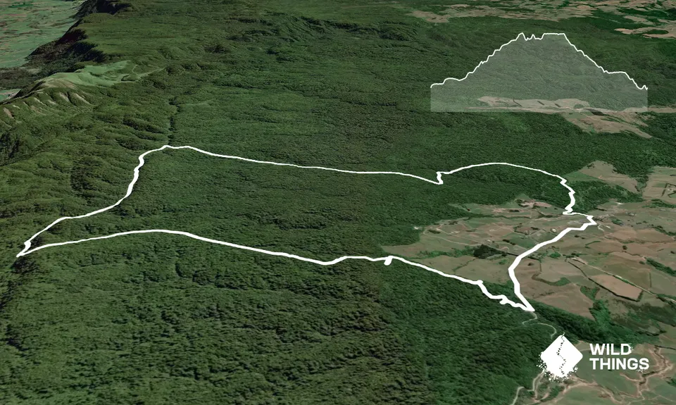 Henderson Tramline - Kaimai , Bay of Plenty
