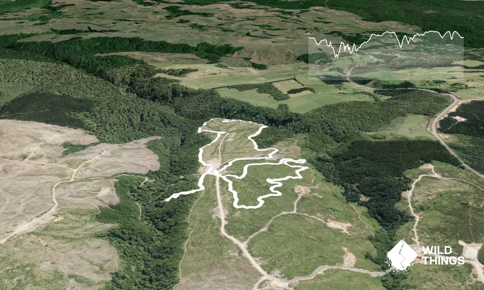 A Roundabout Way to the Lost Tank, Bay of Plenty