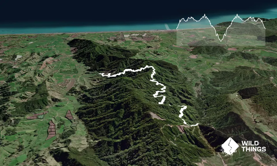 Whakaumu Track, Bay of Plenty