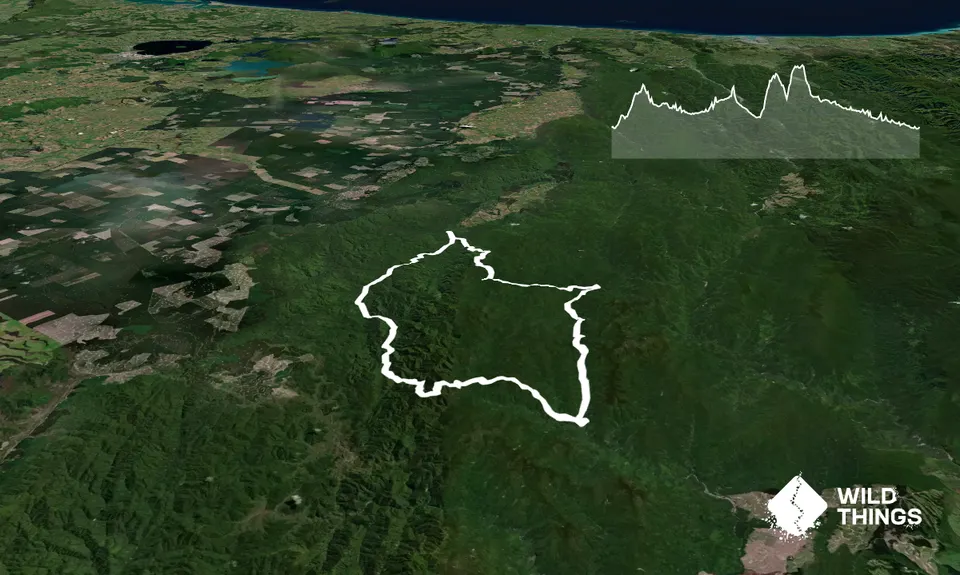 Whirinaki Long Loop, Bay of Plenty