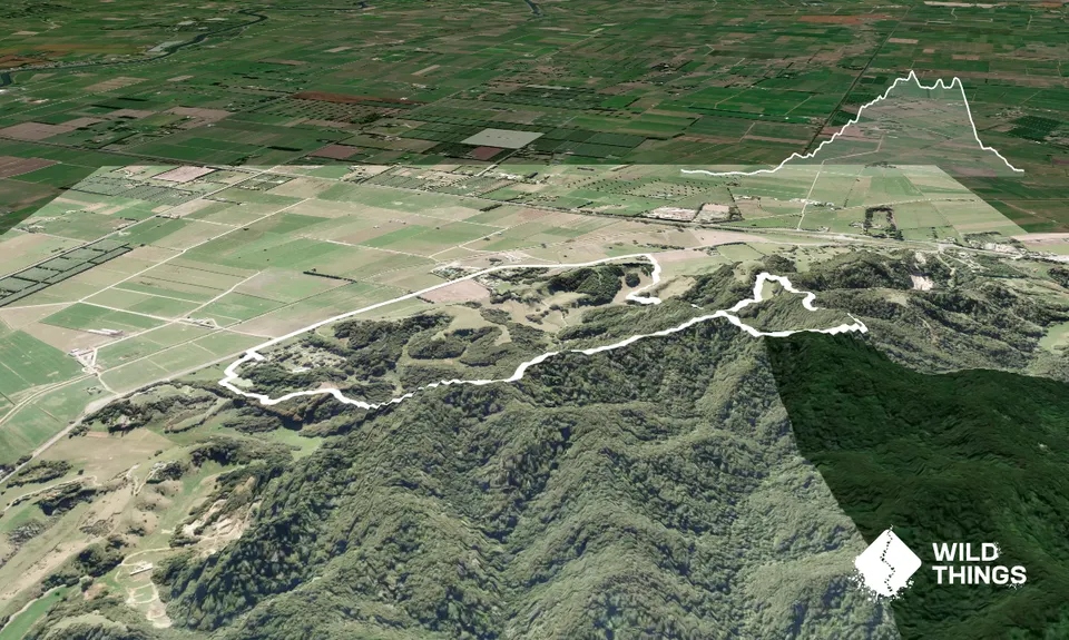 Latham's Hill Track, Bay of Plenty