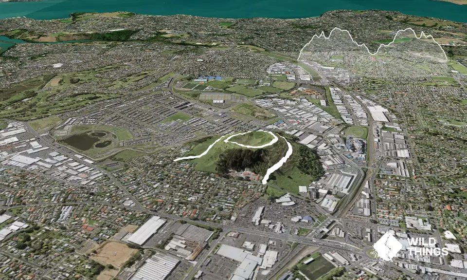 Maungarei / Mt Wellington Climb, Auckland