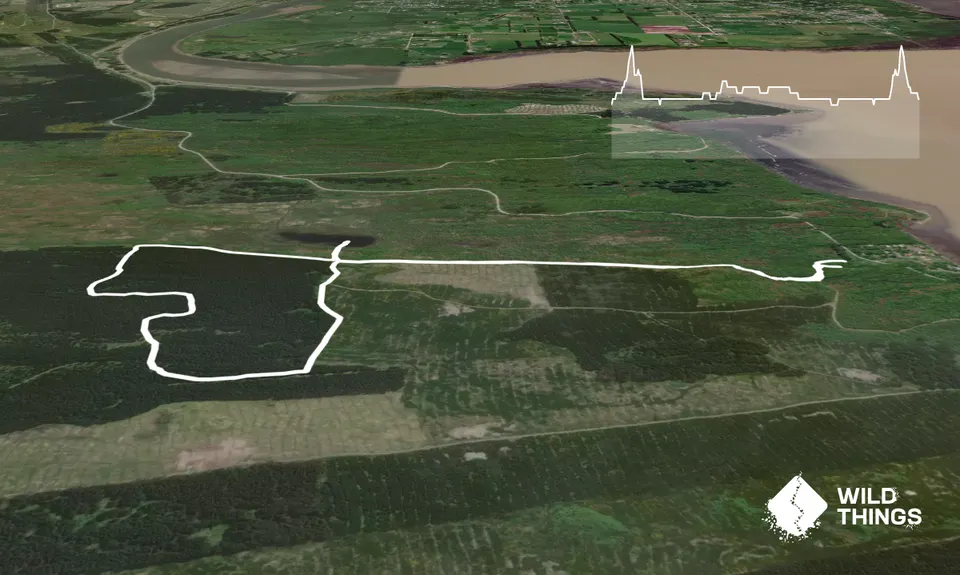 Second Date Loop, Southland