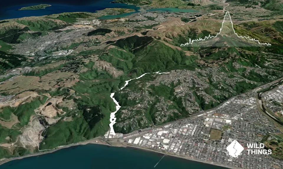 Belmont Bash , Wellington