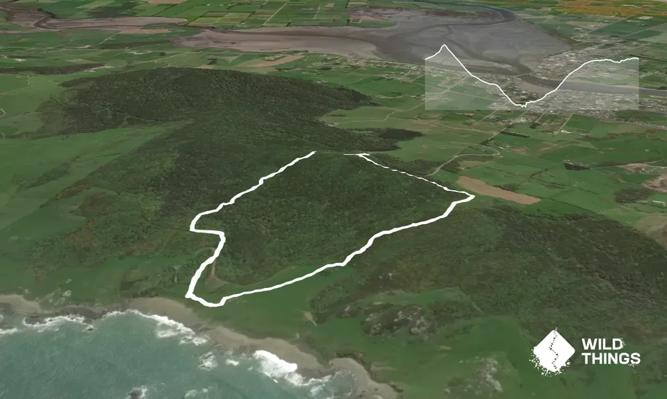 Mores Reserve Loop, Southland