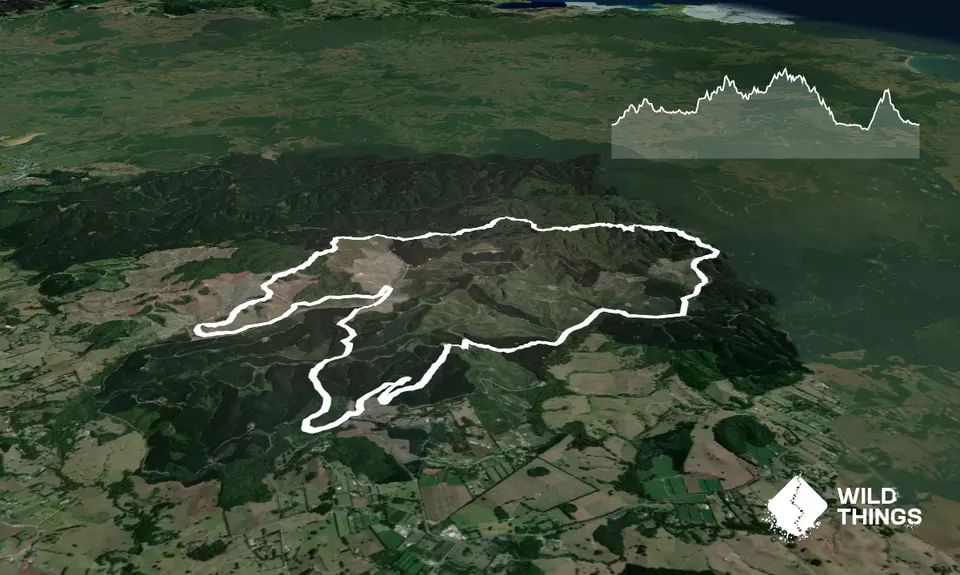 3 Pigs Trail, Northland