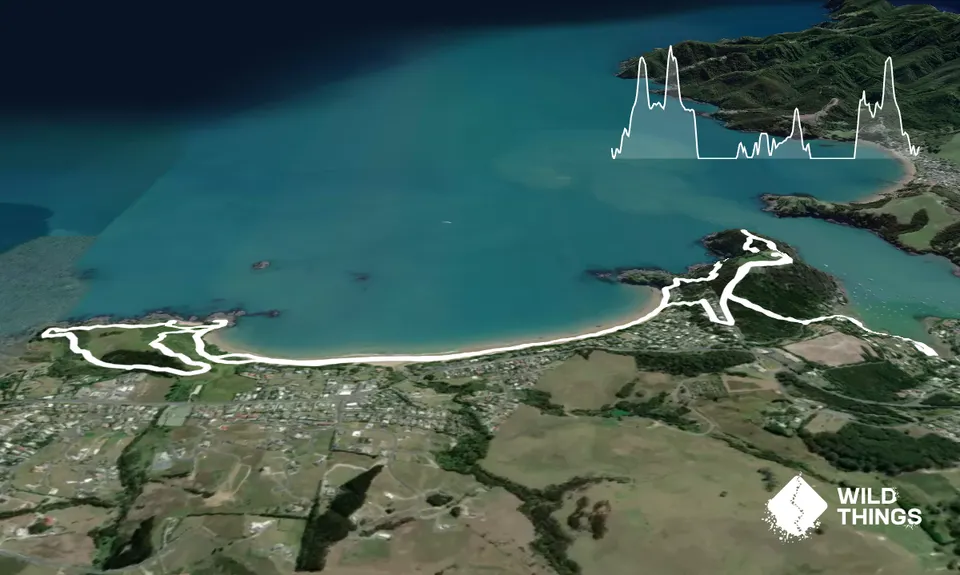 Pa-taking in Mangonui, Northland